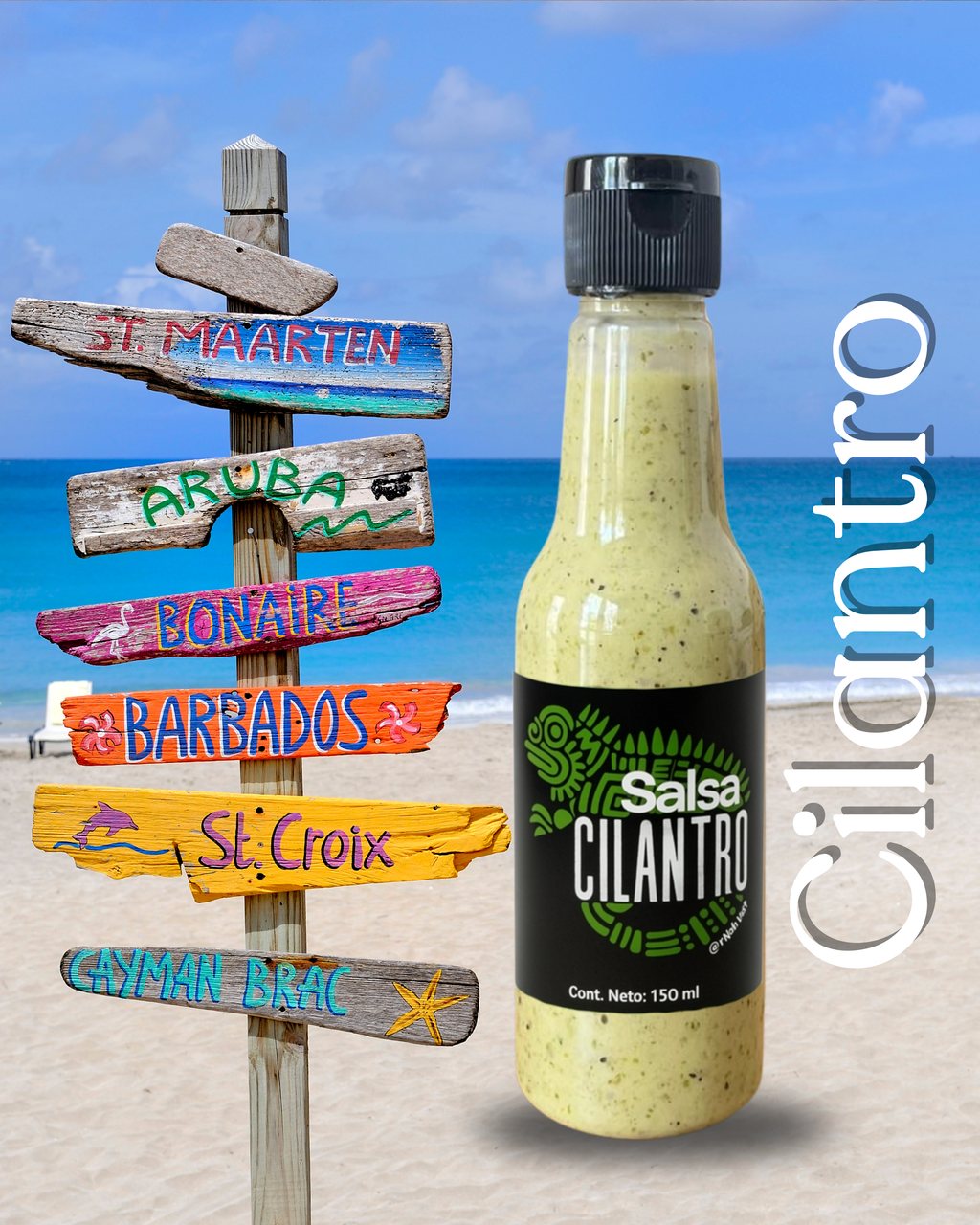 Salsa Cilantro 150 ml (Paquete de 5 salsas Cilantro)