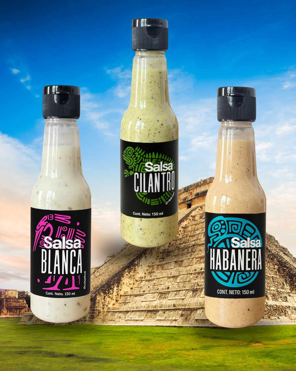 El Regalo Perfecto: ¡3 Salsas diferentes!